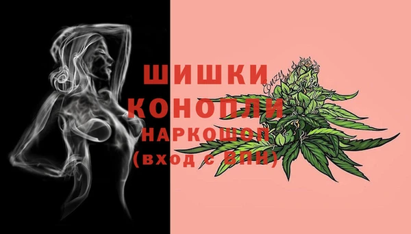 экстази Гусев