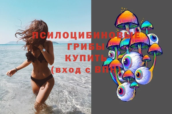 экстази Гусев