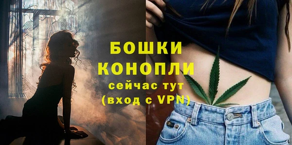 экстази Гусев
